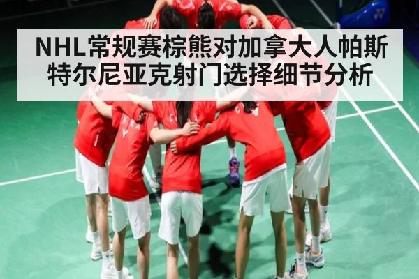 NHL常规赛棕熊对加拿大人帕斯特尔尼亚克射门选择细节分析（kaiyun）