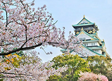 马里首次入喀麦隆国家队 回中超能否成保级奇兵？